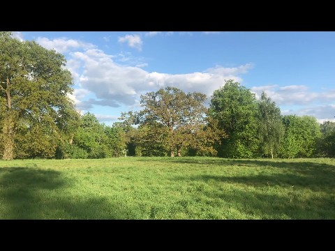 Idyllic Spring day