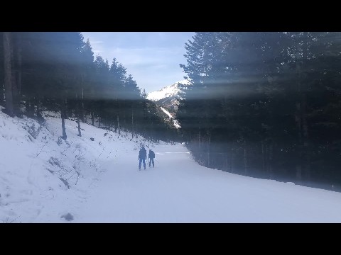 Ski run through the trees