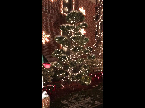 Christmas Lights in Dyker Heights