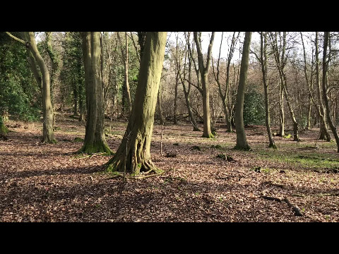 Waterford Heath