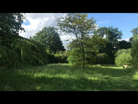 Balls Park
