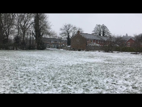 Snowy walk