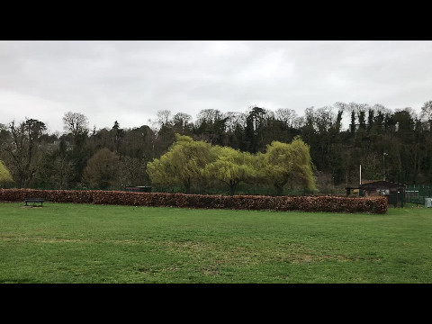 The Wind in the Willows