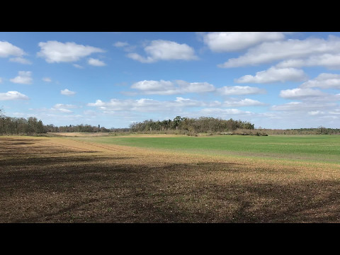 Like walking in a painting