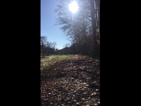 November walk through Lehigh Parkway