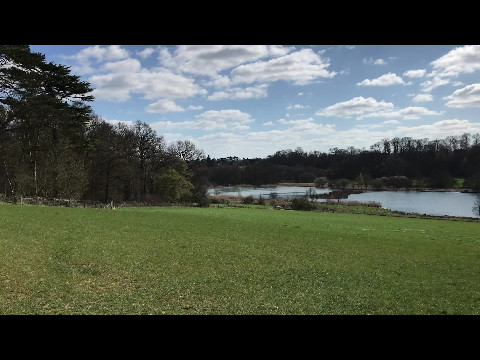 Shimmering lake