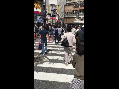 Busy Shibuya Crossing Tokyo