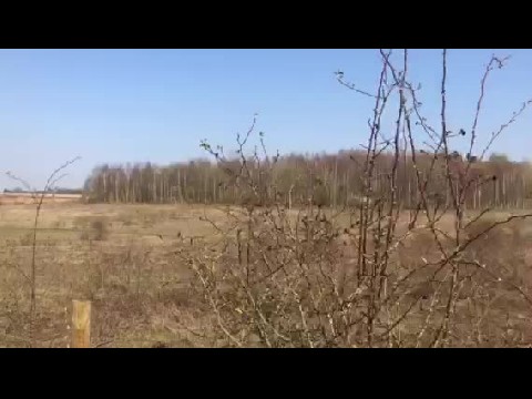 Outdoor walk