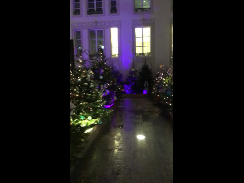 Christmas Trees in Luxembourg