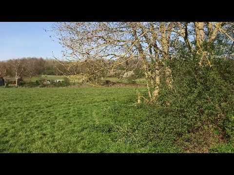 Waterford Marshes