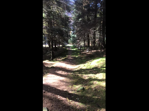 On the Kinder Scout Trail in the Peak District