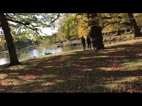 Dunham Massey