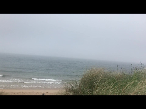 The dunes of Northumberland