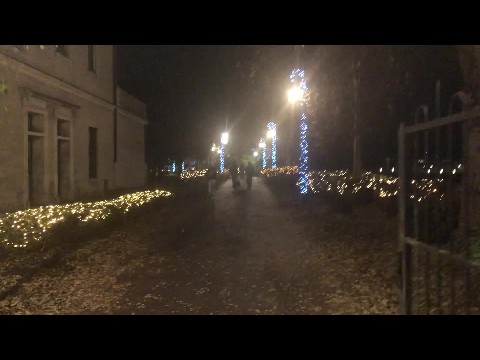 Winter walk
