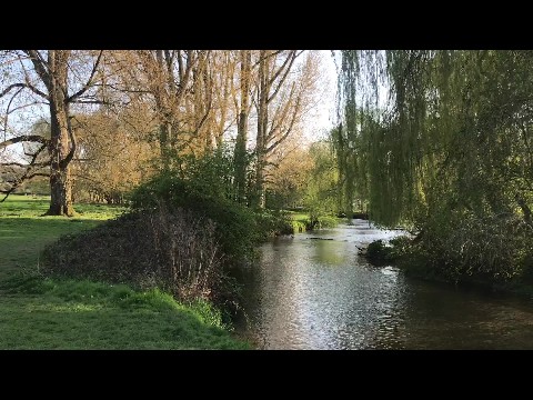 A Spring Day in the English Countryside