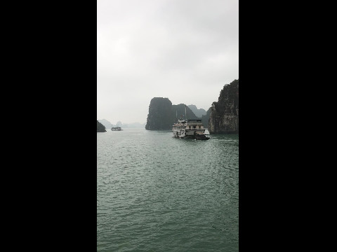 Misty Morning Boats in Little Halong Bay