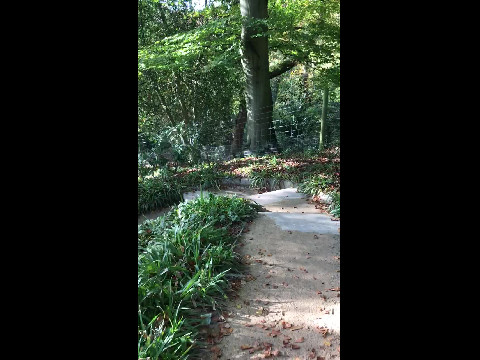 Quarry Bank Mill, Styal