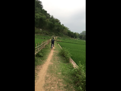 Cycling through Paddy Fields N.Vietnam