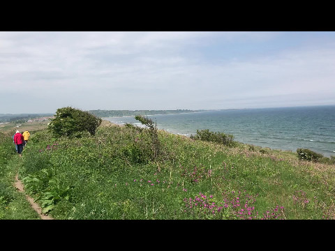 Walking to Alnmouth