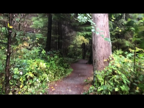 Stanley Park, Vancouver