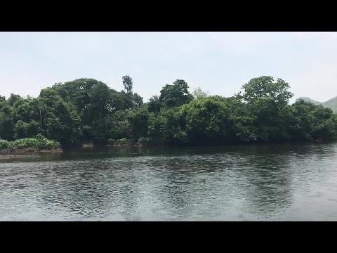 Elephant sanctuary on the River Kwae
