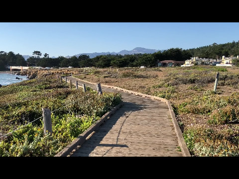 Beachside in Cambria, California