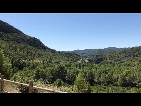 Mountains in the Summer