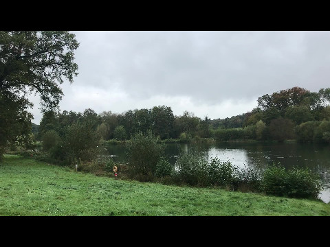Park lake