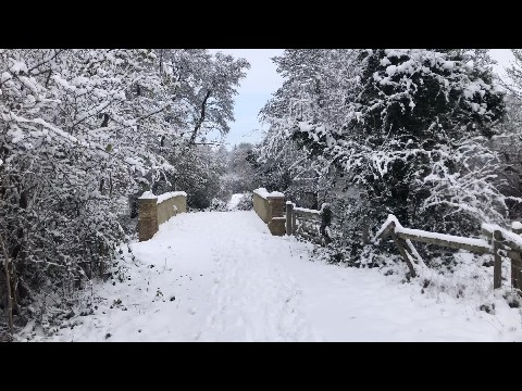Winter walk in the snow