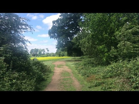 country path